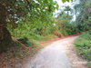 listing thumbnail image 20