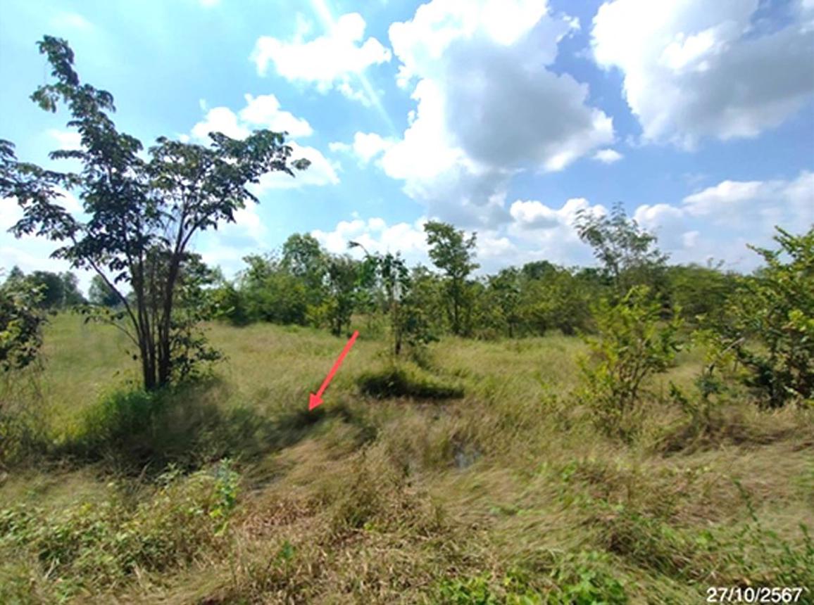 picture LAND 1600 Sq.w. Nong Ya Sai Suphanburi for 1.6M - 9/18