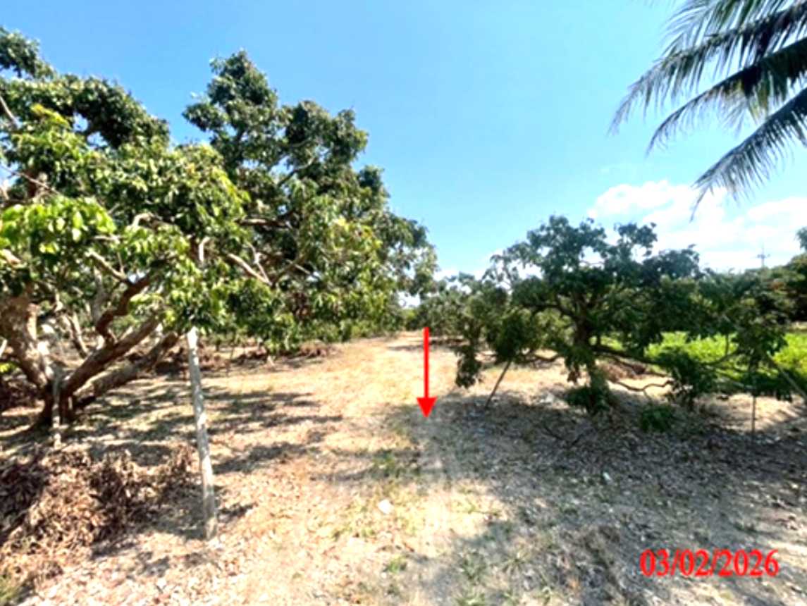 รูป ที่ดินว่างเปล่า 537 ตร.วา เวียงหนองล่อง ลำพูน 806,000 - รูปที่ 11/16
