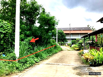 ที่ดิน เมืองชุมพร ชุมพร : ที่ดินว่างเปล่า 124.6 ตร.วา เมืองชุมพร ชุมพร 873,000