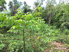 listing thumbnail image 3