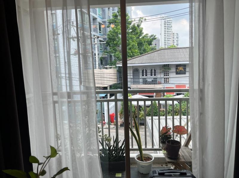 รูป A030062 49 Plus 2 - รูปที่ 1/8
