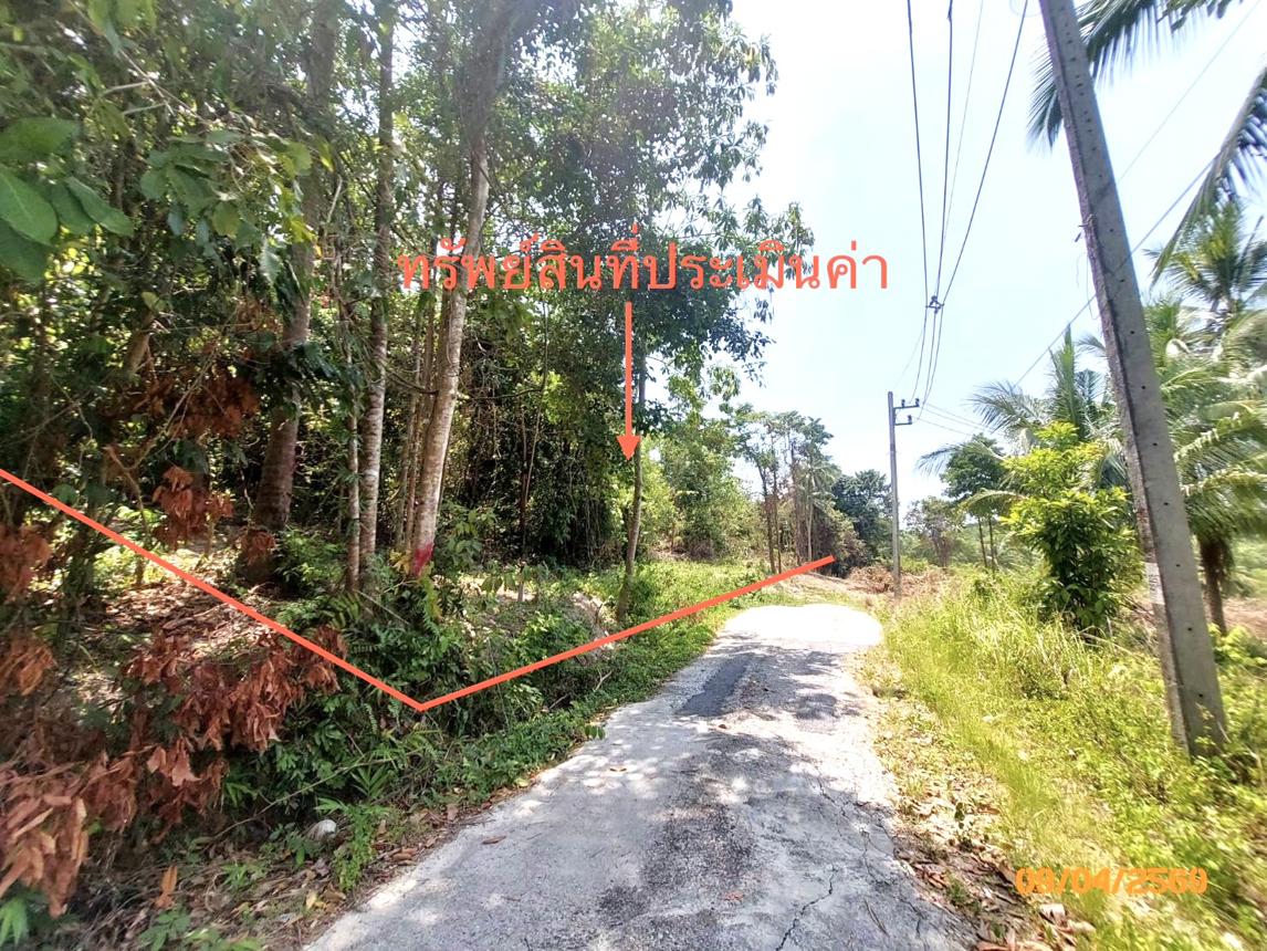 picture LAND 2986 Sq.w. Ko Samui Surat Thani for 20.9M - 6/12