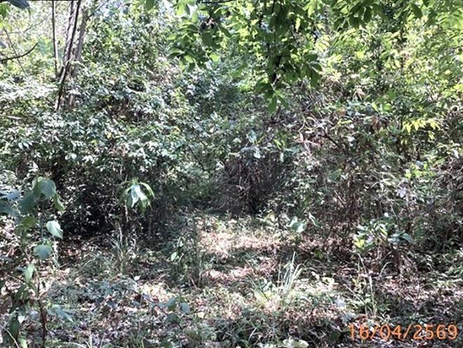 รูป ที่ดินว่างเปล่า 6417.1 ตร.วา เมืองภูเก็ต ภูเก็ต 109M - รูปที่ 3/22
