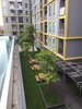 listing thumbnail image 12