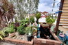 listing thumbnail image 22