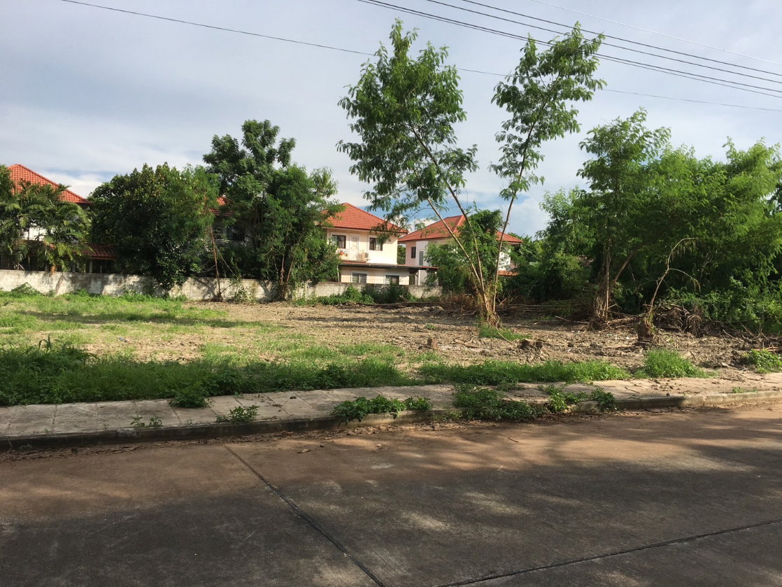 รูป ขายที่ดิน 108 ตร.ว. 📍 ม.เชียงใหม่วิวดอย (หนองควาย - หางดง)(ทางเข้าอยู่ระหว่าง ต.โฮม และศูนย์มิตซูบิชิ หางดง) - รูปที่ 4/4