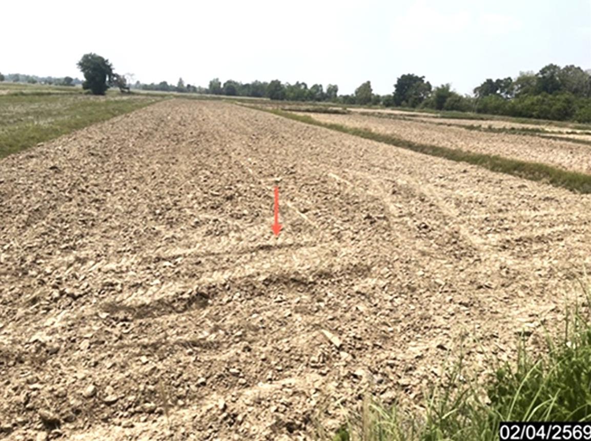 รูป ที่ดินว่างเปล่า 1315 ตร.วา หนองกุงศรี กาฬสินธุ์ 711,000 - รูปที่ 12/18
