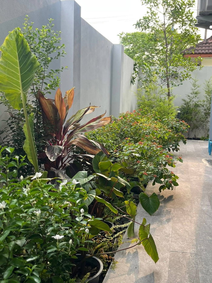 รูป ให้เช่าบ้านใหม่ ในโครงการบ้านวังตาลพร้อมสระว่ายน้ำ. พื้นที่ใช้สอย 320ตรม.  4 ห้องนอน 5 ห้องน้ำ  - รูปที่ 6/7