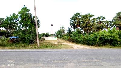 ที่ดิน สงขลา : ฟาร์ม 3464 ตร.วา สทิงพระ สงขลา 7.3M