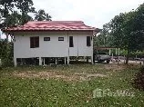 รูป ขาย บ้านเดี่ยว 3 ห้องนอน ใน ตลิ่งงาม, สุราษฎร์ธานี 6254174 - รูปที่ 7/8