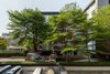 listing thumbnail image 9