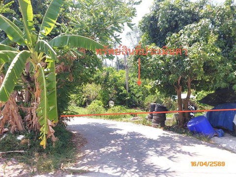 ที่ดินว่างเปล่า 1708 ตร.วา เกาะสมุย สุราษฎร์ธานี 12.7M