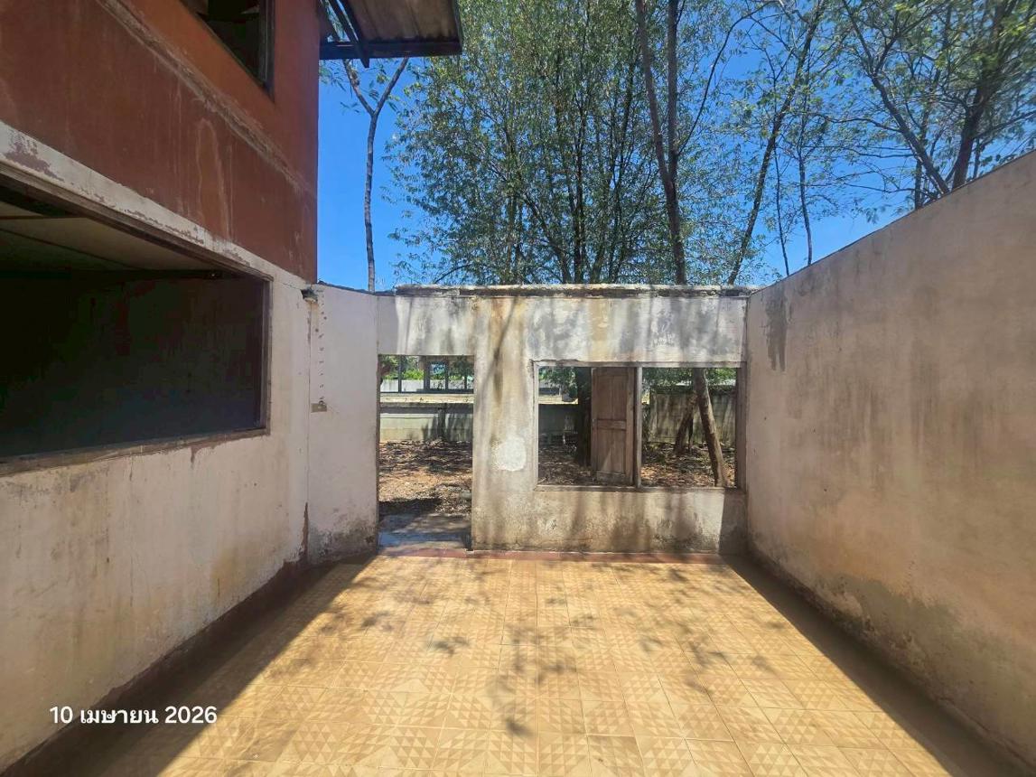 picture LAND 12206 Sq.w. Ban Dan Lan Hoi Sukhothai for 7.2M - 28/32