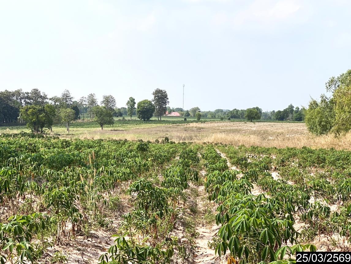 picture LAND 12300 Sq.w. Nong Han Udon Thani for 2.3M - 17/24