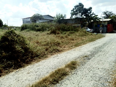 Land for sale : Land for sale  100 sq.wah Hathairath Road