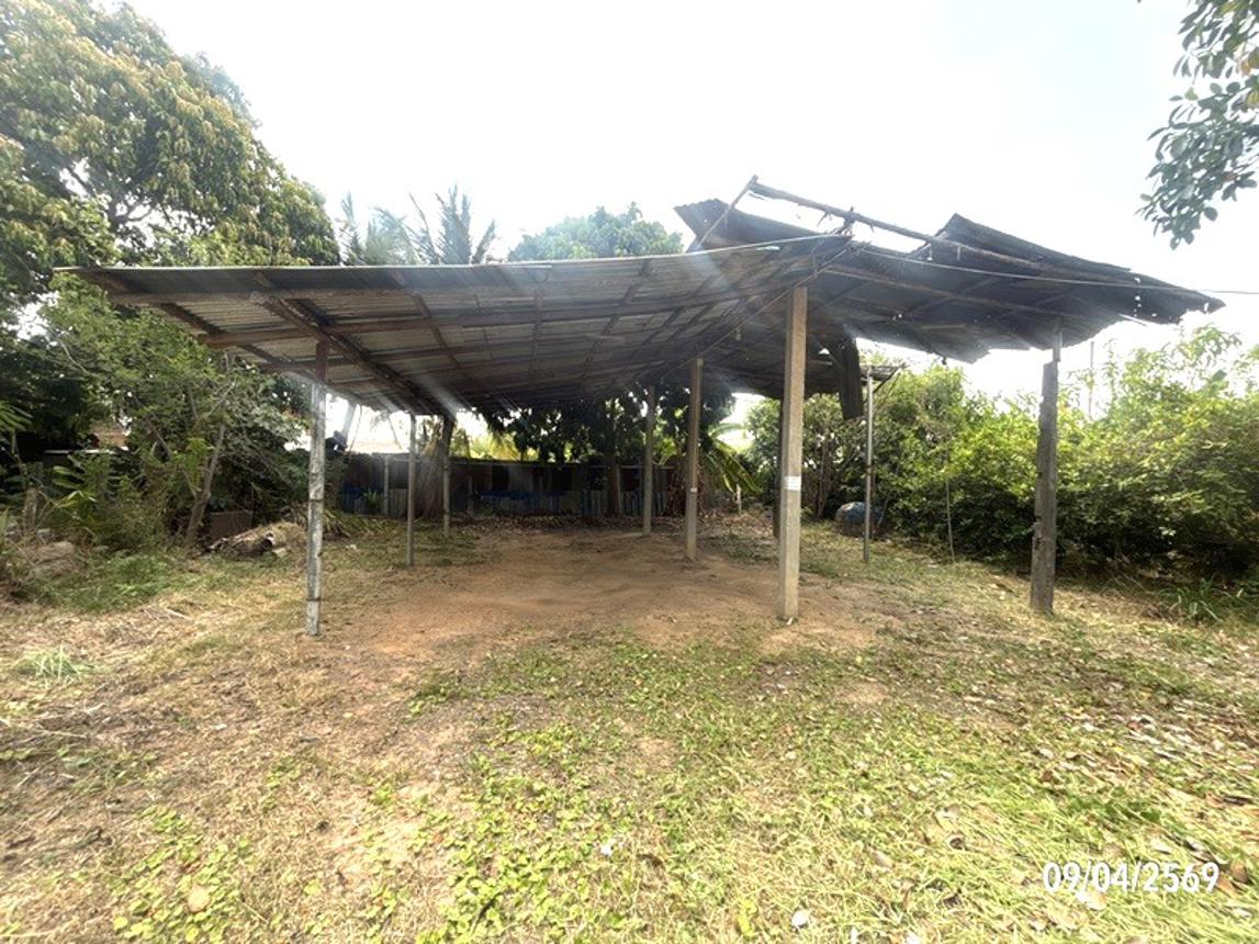 รูป บ้านเดี่ยว 189 ตร.วา ปะคำ บุรีรัมย์ 799,000 - รูปที่ 26/32