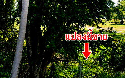 ที่ดิน เมืองประจวบคีรีขันธ์ ประจวบคีรีขันธ์ : ที่ดินประจวบฯ บ่อนอก ติดทะเล ที่ดินศักยภาพ สามารถสร้างรายได้ในอนาคต