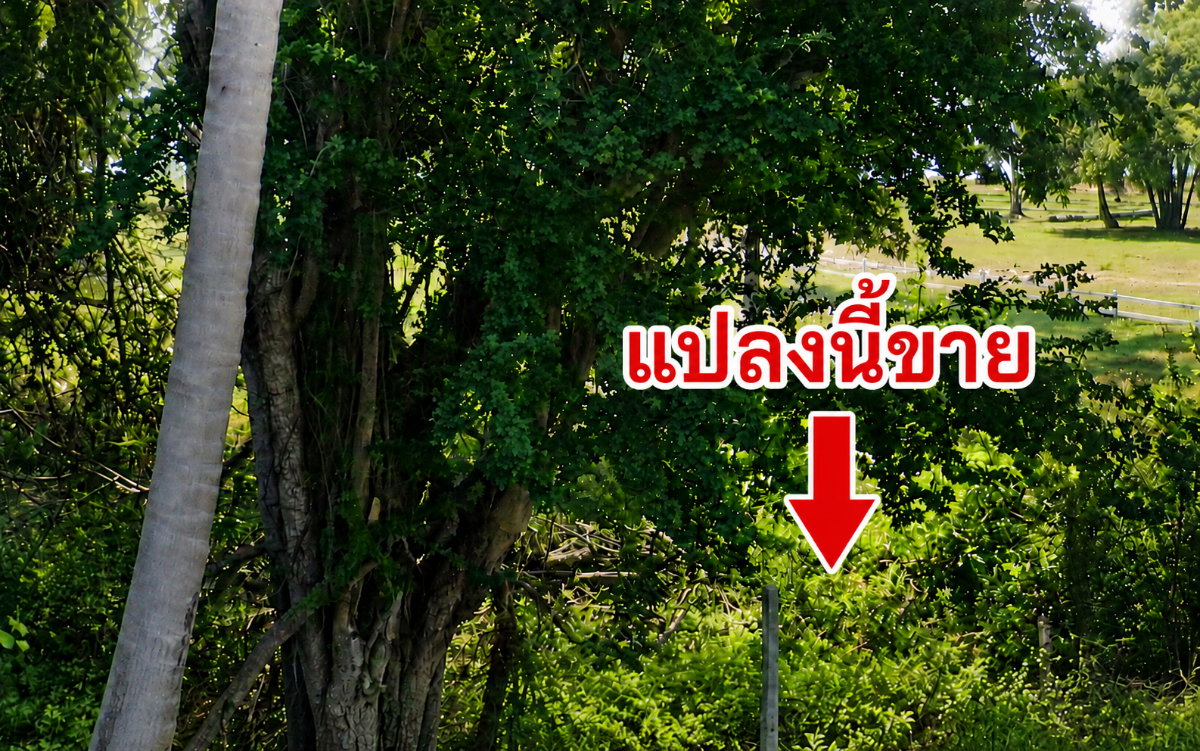 รูป ที่ดินประจวบฯ บ่อนอก ติดทะเล ที่ดินศักยภาพ สามารถสร้างรายได้ในอนาคต - รูปที่ 1/7