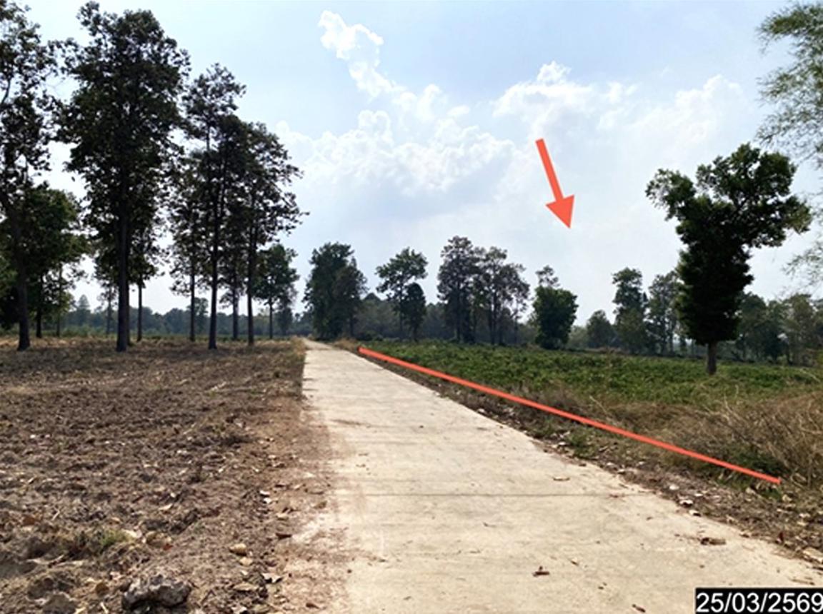 picture LAND 12300 Sq.w. Nong Han Udon Thani for 2.3M - 19/24