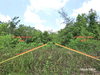 listing thumbnail image 18