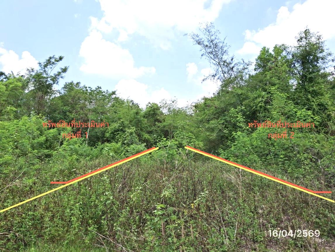 picture LAND 663 Sq.w. Khlong Thom Krabi for 2.9M - 19/24