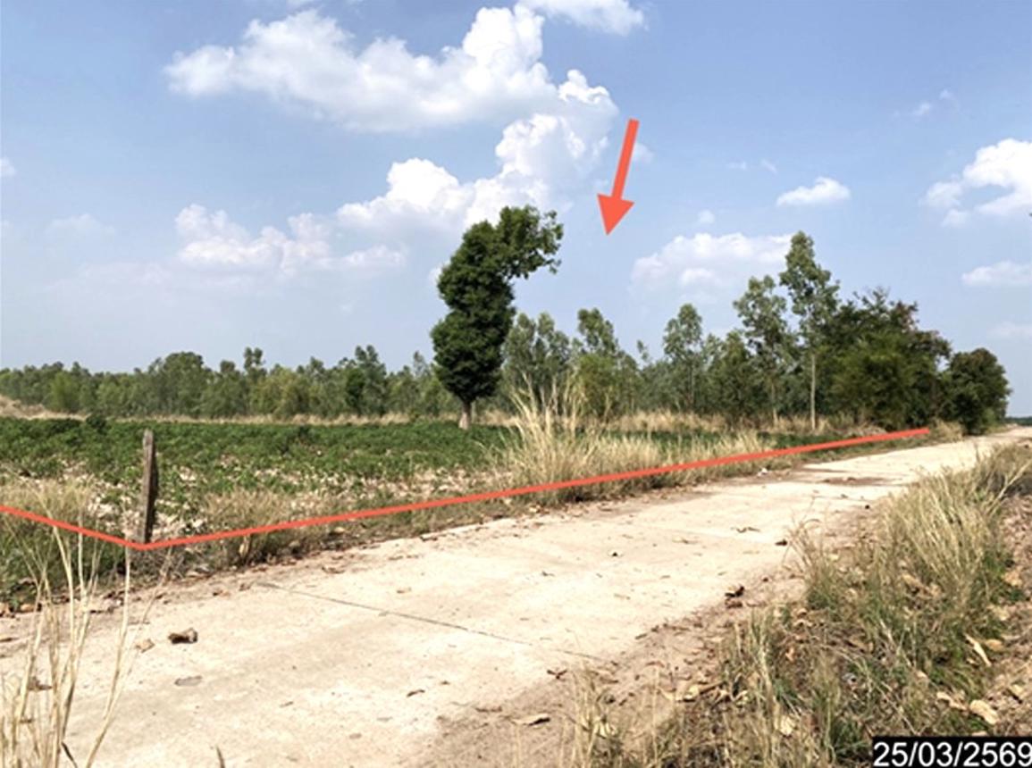picture LAND 12300 Sq.w. Nong Han Udon Thani for 2.3M - 11/24