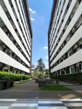 A033246 Plum Condo Paholyothin 89