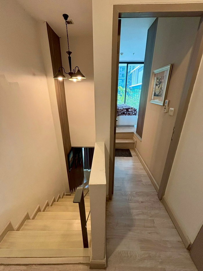 picture 🟪🟦🟩🟨🟧 For Rent: IDEO Mobi Sukhumvit 📍BTS On Nut 🛎️🛎️ | Line@: @assetspro - 10/19