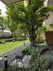 listing thumbnail image 11