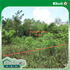 listing thumbnail image 21
