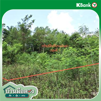 picture LAND 663 Sq.w. Khlong Thom Krabi for 2.9M - 22/24