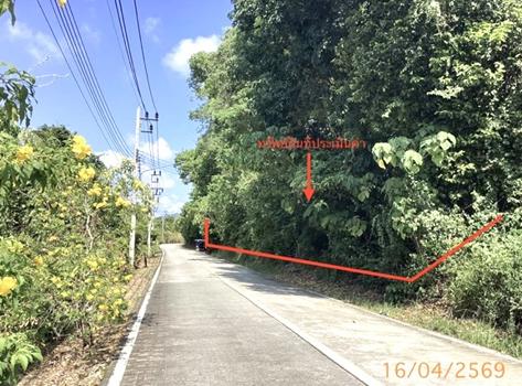 รูป ที่ดินว่างเปล่า 6417.1 ตร.วา เมืองภูเก็ต ภูเก็ต 109M - รูปที่ 19/22