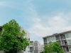 listing thumbnail image 19