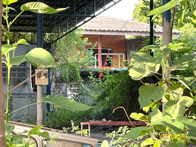 รูป บ้านเดี่ยว 348.2 ตร.วา ท่ามะกา กาญจนบุรี 2M - รูปที่ 3/18