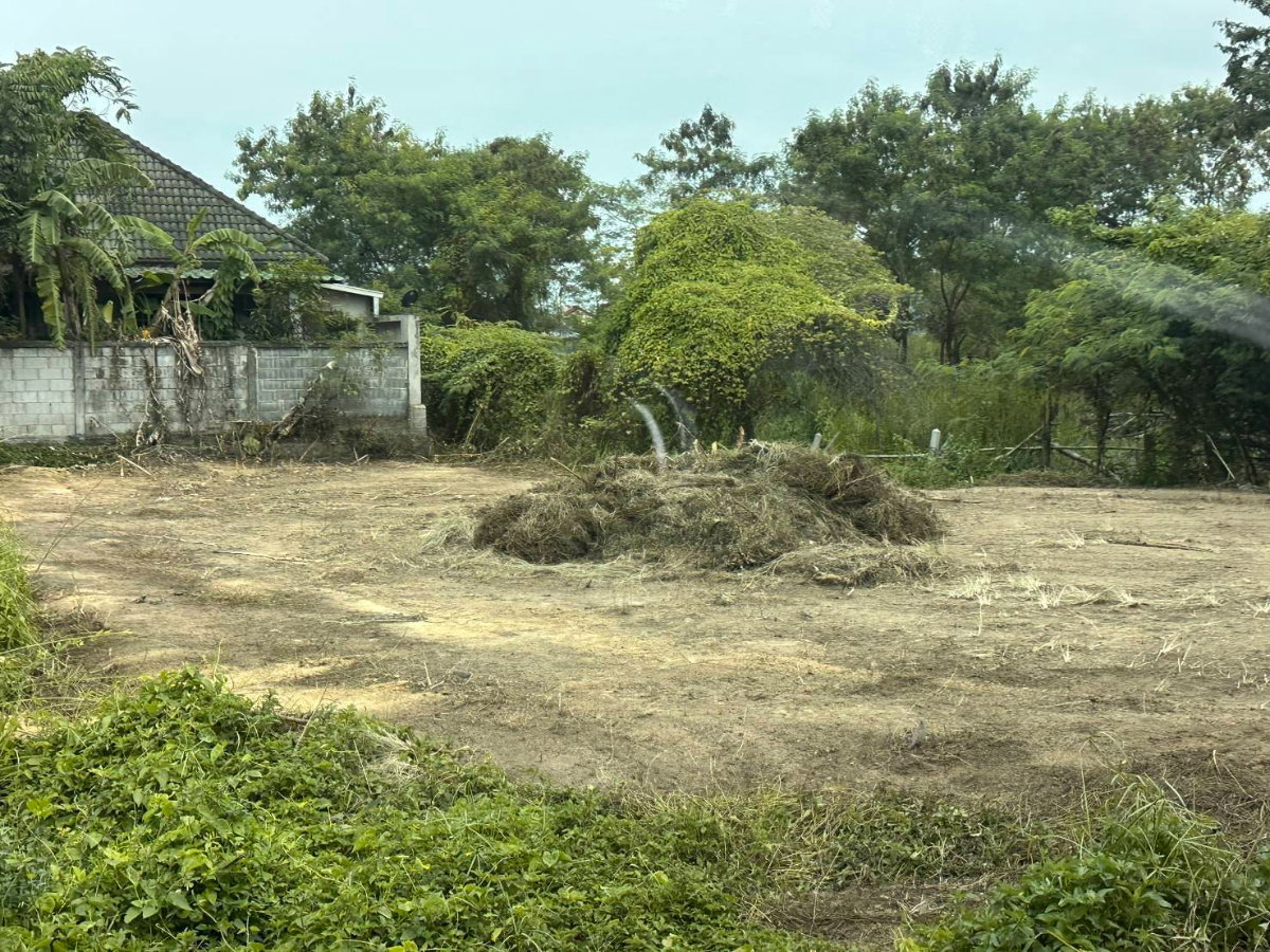 รูป ที่ดินหนองปลาไหลพัทยาใกล้ทางรถไฟราคาถูก 148ตร.ว. - รูปที่ 4/6