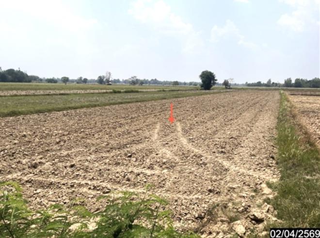 รูป ที่ดินว่างเปล่า 1315 ตร.วา หนองกุงศรี กาฬสินธุ์ 711,000 - รูปที่ 7/18