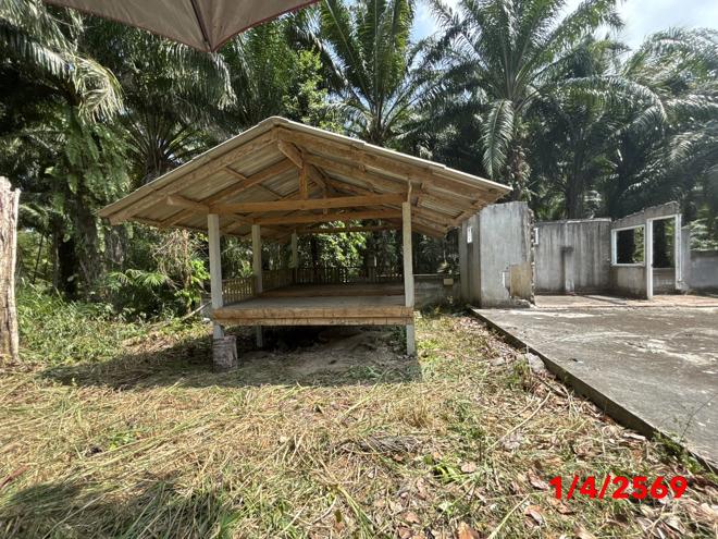 รูป เพิงอเนกประสงค์ 174 ตร.วา ขนอม นครศรีธรรมราช 737,000 - รูปที่ 7/20