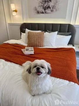 Pet friendly - Grand Park Town รัชดา เหม่งจ๋าย 6254259