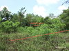 listing thumbnail image 20