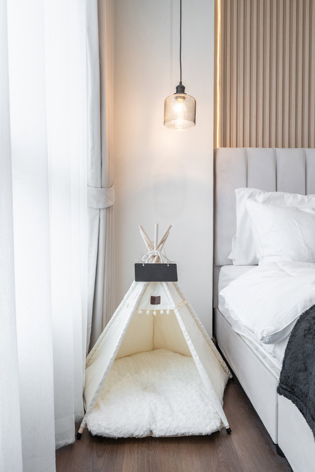 รูป 🏙️ Happy condo ladprao — คอนโด Pet Friendly ใจกลางลาดพร้าว 🐶✨ - รูปที่ 42/47