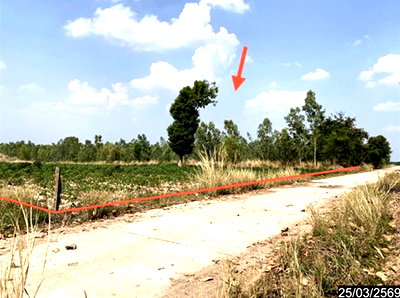ที่ดิน หนองหาน อุดรธานี : ที่ดินว่างเปล่า 12300 ตร.วา หนองหาน อุดรธานี 2.3M