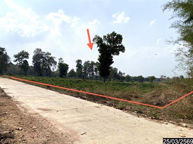 picture LAND 12300 Sq.w. Nong Han Udon Thani for 2.3M - 2/24