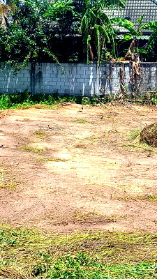 ที่ดิน บางละมุง ชลบุรี : ที่ดินหนองปลาไหลพัทยาใกล้ทางรถไฟราคาถูก 148ตร.ว.