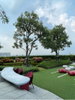 listing thumbnail image 11