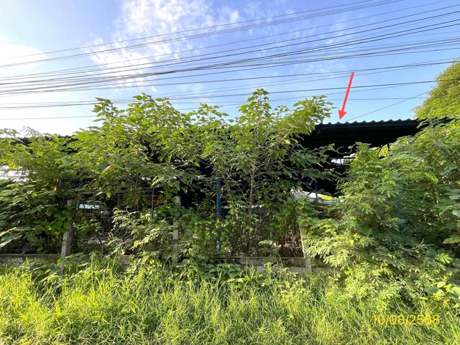 รูป บ้านเดี่ยว 348.2 ตร.วา ท่ามะกา กาญจนบุรี 2M - รูปที่ 2/18
