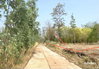 listing thumbnail image 9