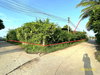 listing thumbnail image 11