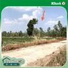 listing thumbnail image 21