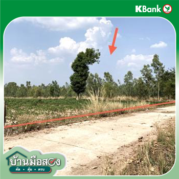 picture LAND 12300 Sq.w. Nong Han Udon Thani for 2.3M - 22/24